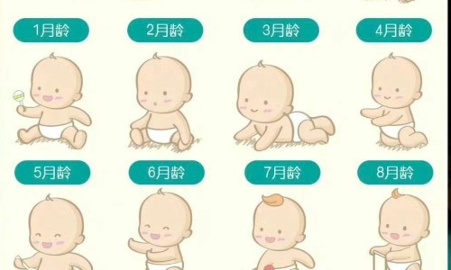 天津特产焖子-天津地区焖子的吃法-专业天津焖子是什么原材料做的平台-天津特产焖子
